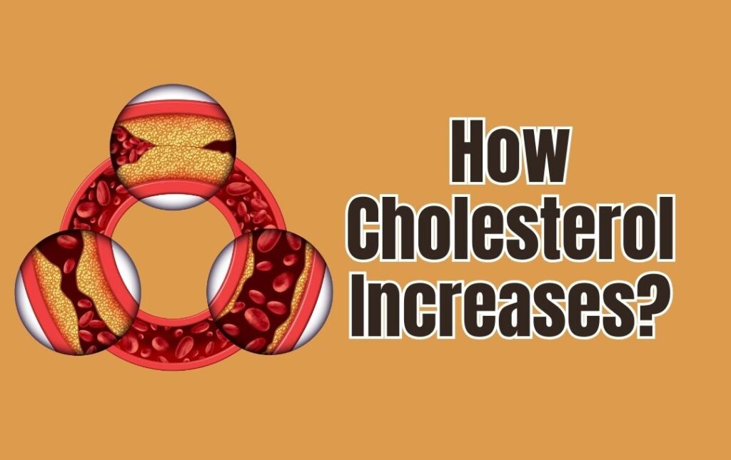 How Cholesterol Increases