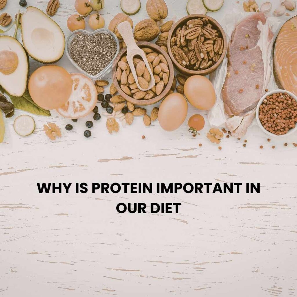 why protein is important